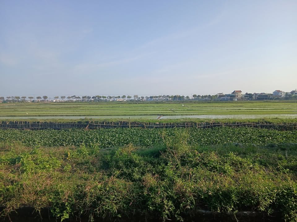 Đất nền 310m² đường Lý Thường Kiệt - Hội An - Cơ hội đầu tư tuyệt vời!