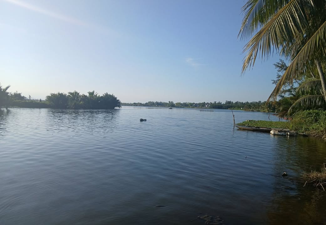 Đất nền Cẩm Nam - Hội An 84m² giá thỏa thuận - Cơ hội đầu tư hấp dẫn!