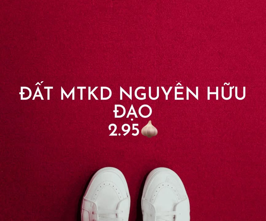 Đất mặt tiền Nguyễn Hồng Đạo, Quy Nhơn 39m² giá 2.5 tỷ - Vị trí trung tâm thuận lợi!