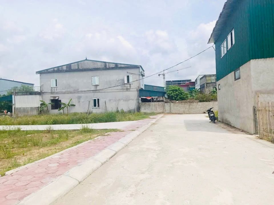 Đất Nghi Kim 120.5m² giá 1.8 tỷ - Cách chợ chỉ 100m!