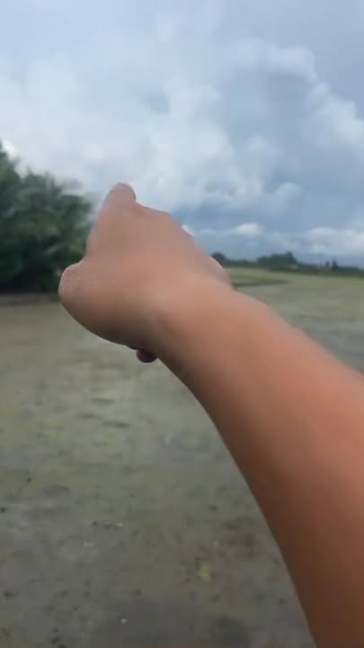 Bán đất ruộng 9,5 công tại ấp Phú Bình, Cai Lậy - Cơ hội đầu tư hấp dẫn!