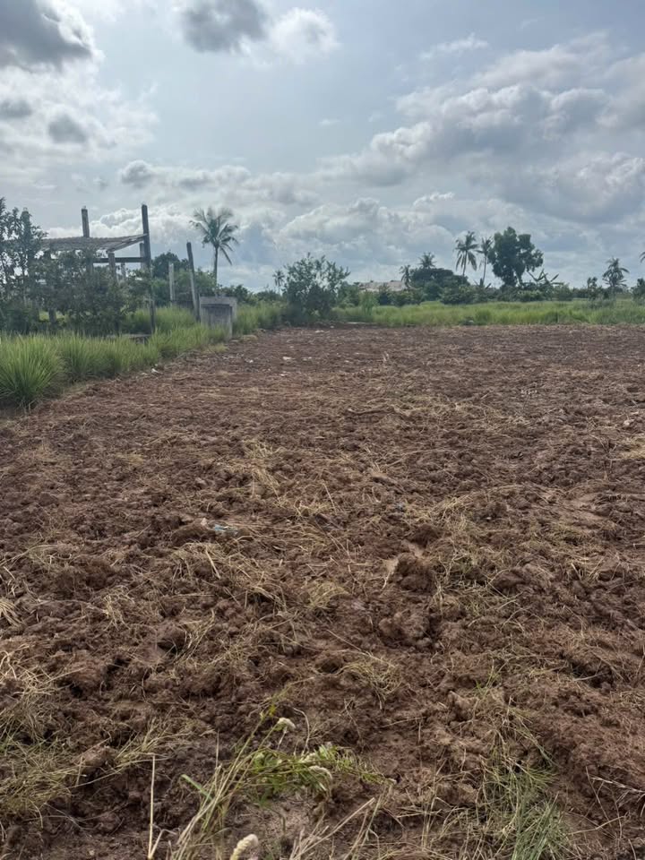 Đất nền 210m² Tân Phú Đông giá chỉ 200 triệu - Sẵn sàng đầu tư!