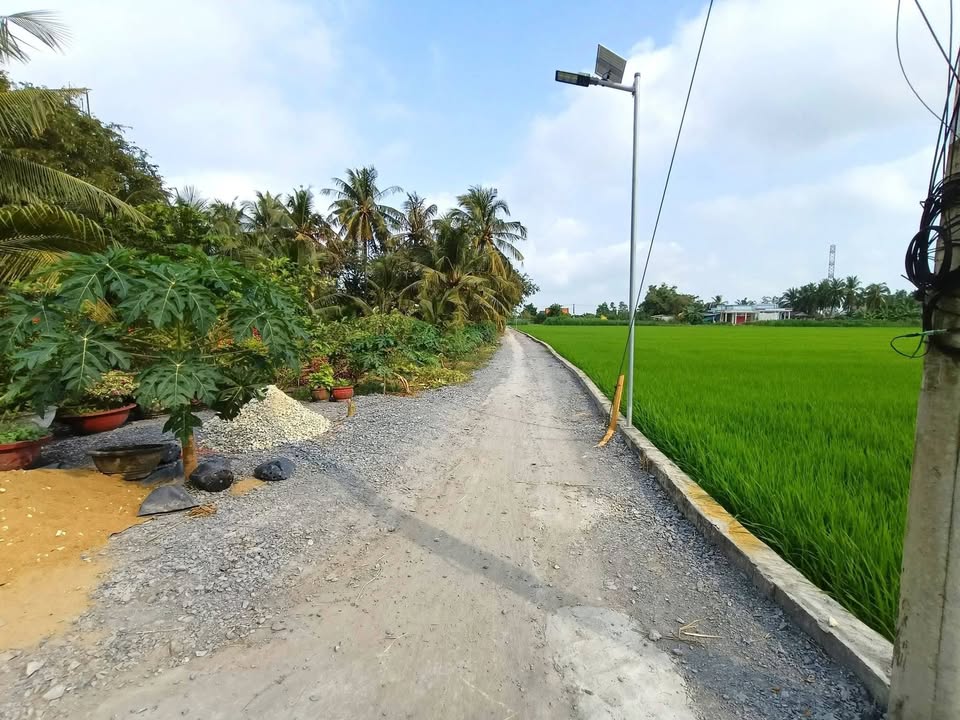 Đất nền xã Bình Phú, huyện Gò Công Tây 567m² giá 350 triệu - Cơ hội đầu tư sinh lời!