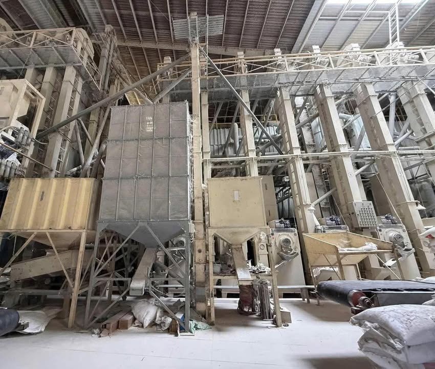 Nhà máy lau 4000m² tại Huyện Cái Bè, Tiền Giang - Đầu tư sinh lời hấp dẫn!