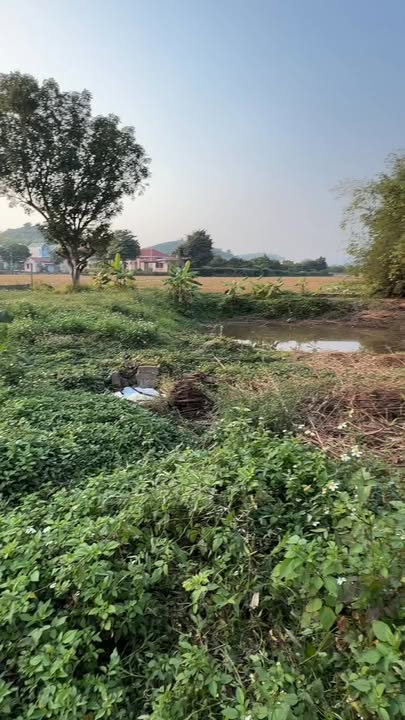 Đất nền Yên Thủy 511m² giá chỉ 7xx triệu - Vượng khí bên suối