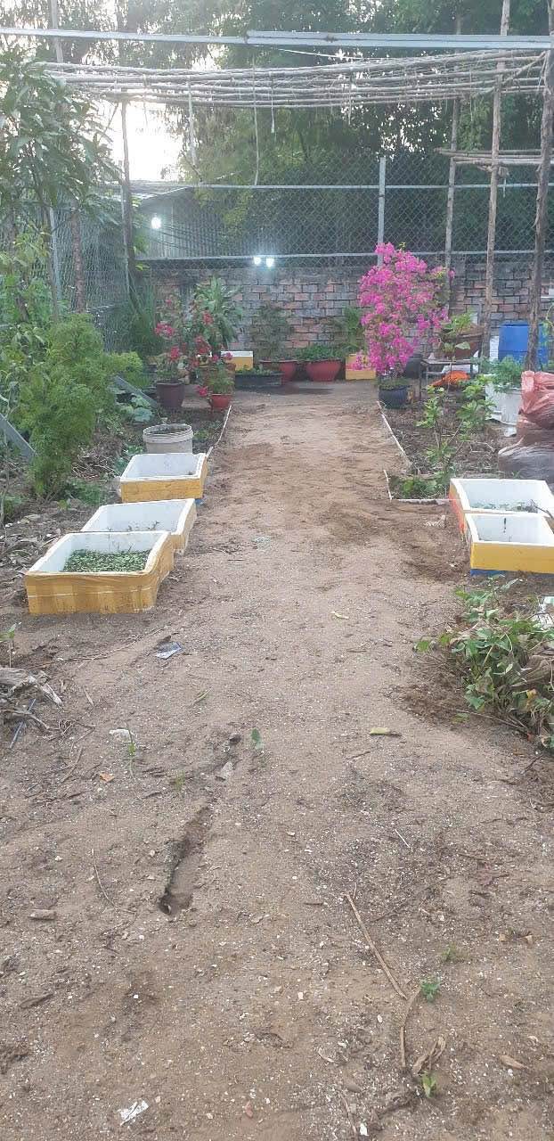 Nhà vườn tại hẻm Sumo, Vĩnh Lộc A, Bình Chánh 100m² giá 1.05 tỷ - Cơ hội đầu tư tuyệt vời!