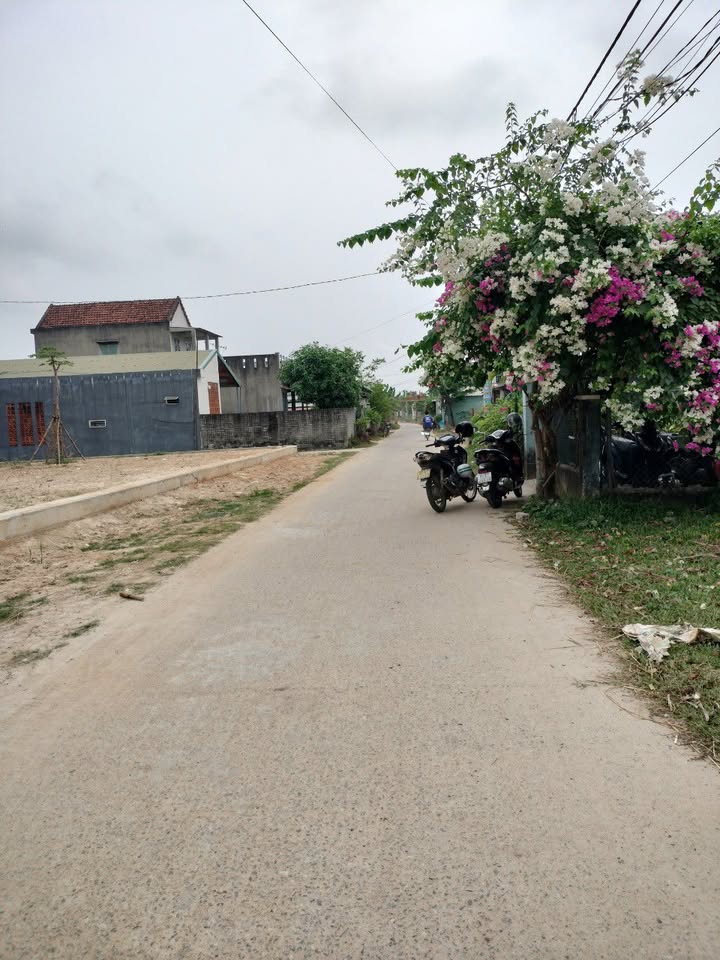 Đất nền Xã Tam Thanh, TP Tam Kỳ 168m² chỉ 600 triệu - Đầu tư sinh lời ngay!