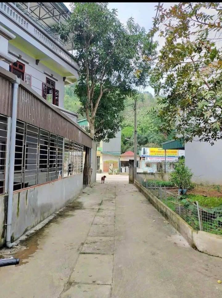 Đất nền thổ cư 96m² phường Quang Trung, Hà Giang - Giá 1.4 tỷ, nở hậu đẹp!