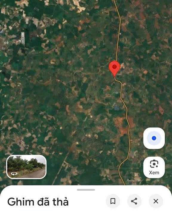 Đất sào tại đường DT753, Tân Phước, Đồng Phú 1000m² - Giá tốt, cơ hội đầu tư hấp dẫn!