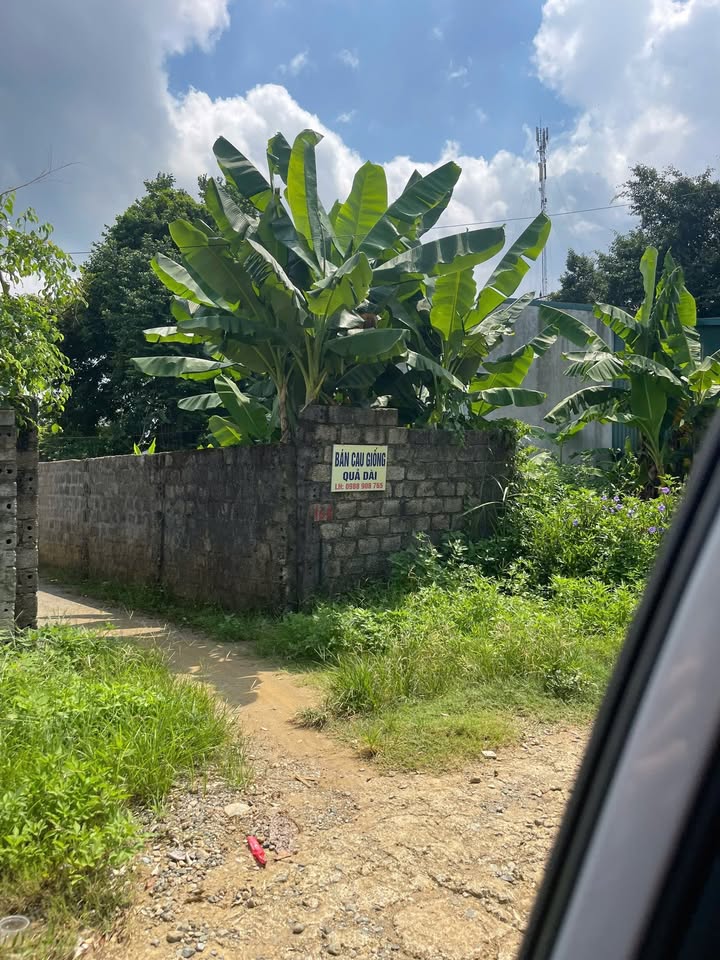 Đất nền Thôn Trung Độ, xã Cẩm Châu 177m² giá 1 tỷ - Sổ hồng trao tay ngay!