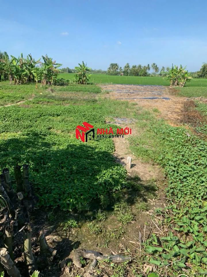 Đất vườn Kênh Chòi Ngói Cà Mau 476m² giá 1.35 tỷ - Không gian xanh lý tưởng!