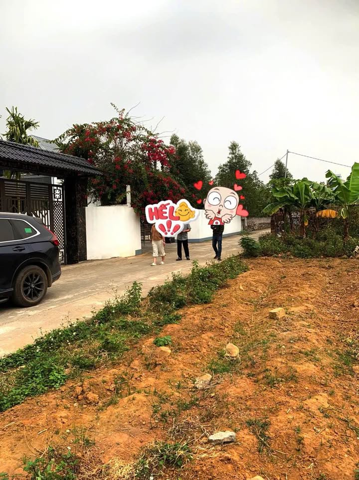 Đất nền thôn Chính Thượng, Lục Nam 115.5m² - Tiềm năng đầu tư cao!