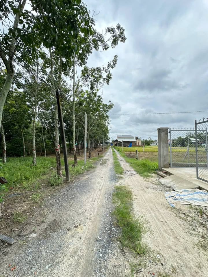 Đất nền Đồng Khởi Châu Thành 541m² giá 310 triệu - Cơ hội đầu tư hấp dẫn!