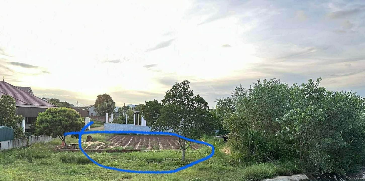 Đất nền thôn 6 Lý Trạch 212m² giá chỉ 900 triệu - Cơ hội đầu tư tuyệt vời!