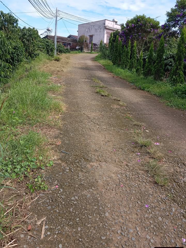 Đất nền Tân Văn 1200m² giá 1.5 tỷ - Vị trí đẹp tiềm năng đầu tư!