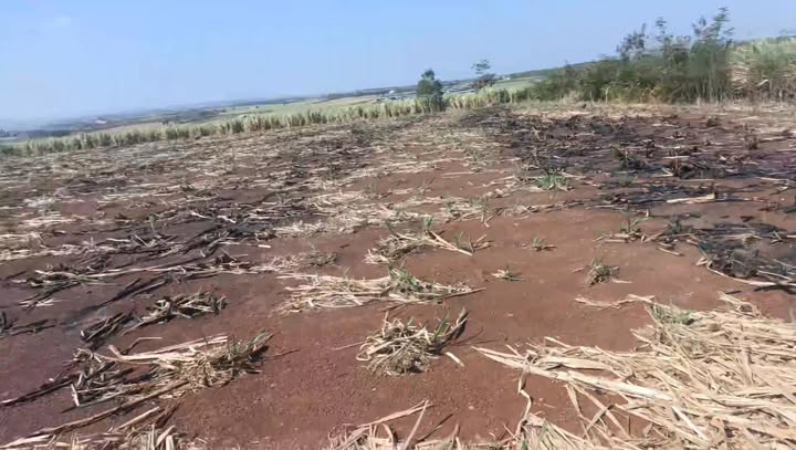 Đất nền xã H Bông, Chư Sê, Gia Lai 1ha chỉ 650 triệu - Cơ hội đầu tư tuyệt vời!