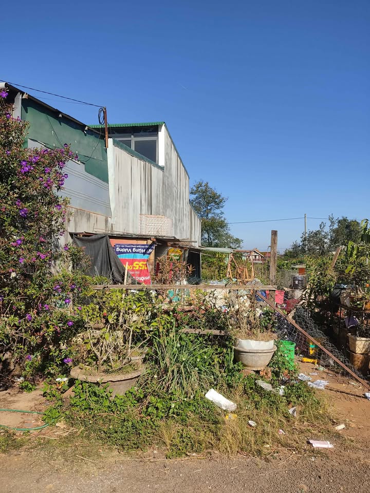 Đất nền Đồi Thông Pleiku 125m² giá 599 triệu - Đường ô tô vào tận nơi!