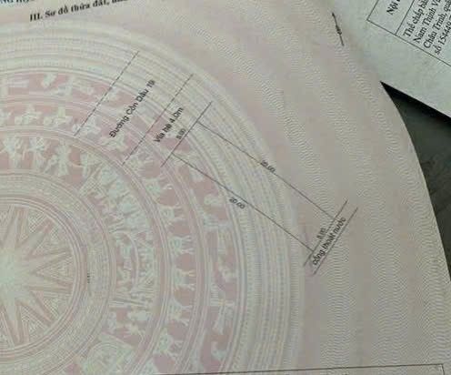 Nhà liền kề Cồn Dầu 19, Đà Nẵng 200m² giá 13 tỷ - Cơ hội đầu tư hiếm có!