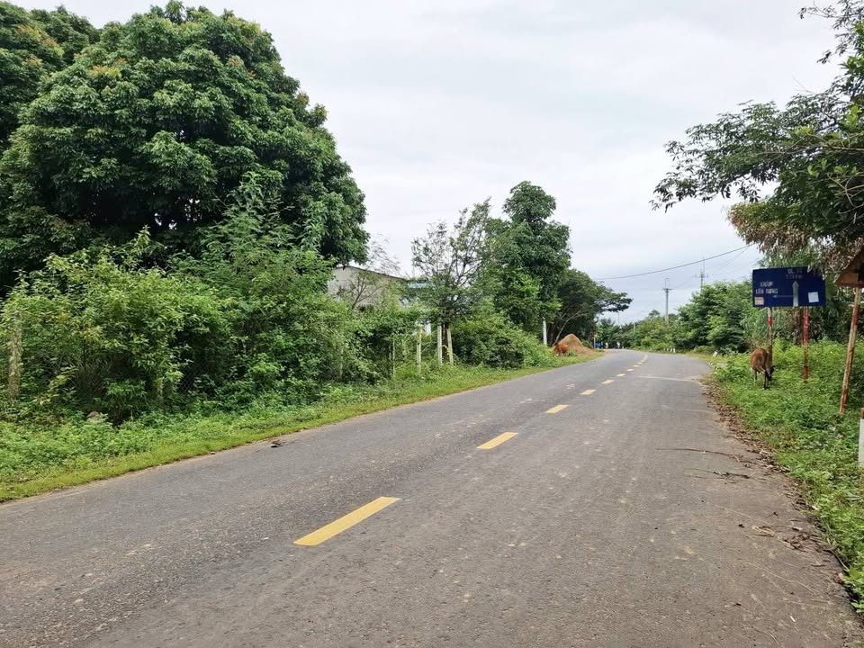 Đất thổ cư 190m² 2 mặt tiền đường tỉnh lộ 671, Kon Tum - Chỉ từ 300 triệu!