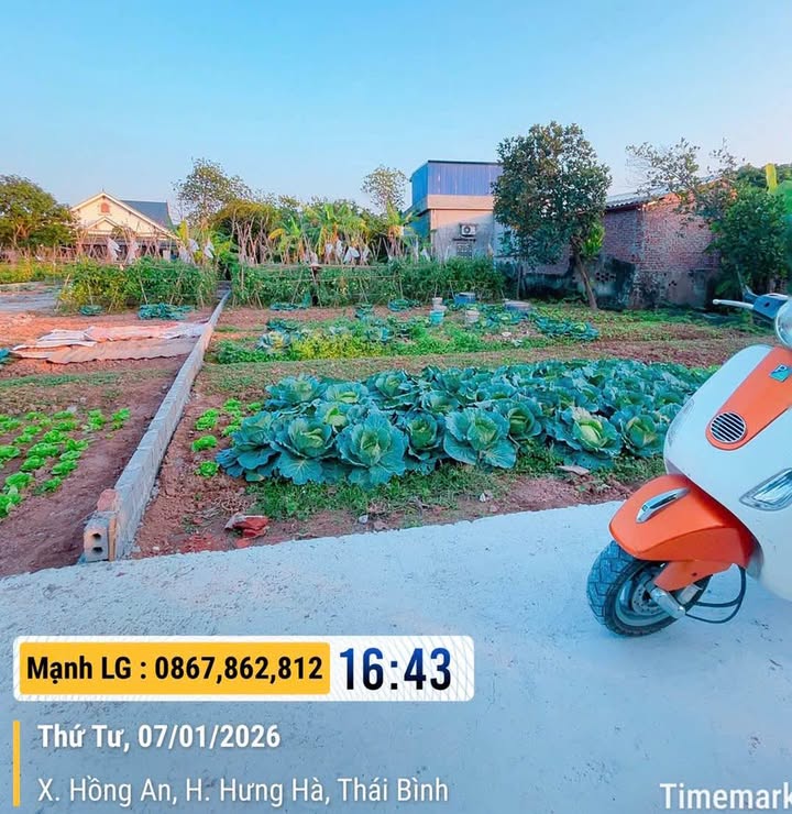 Đất nền Hồng An, Thái Bình 117m² giá chỉ 500 triệu - Sổ đỏ chính chủ!