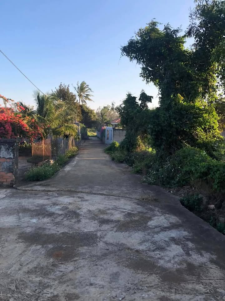 Đất 2 mặt tiền đường Võ Trung Thành, Buôn Hồ 340m² - Vị trí đắc địa, giá thỏa thuận!