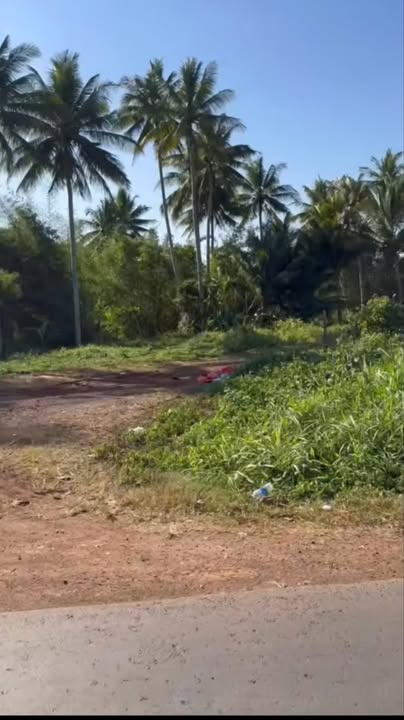 Đất nền mặt tiền Quốc lộ xã Krông Na, 210m² giá 200 triệu - Pháp lý rõ ràng, đầu tư sinh lời!