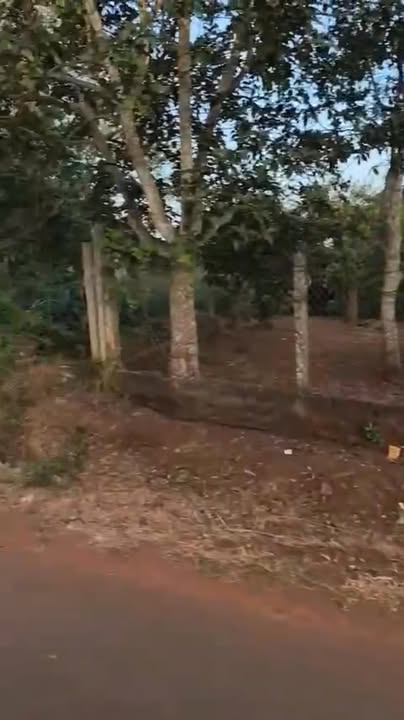 Đất Mặt Tiền Đường Hàm Nghi Buôn Hồ 225m² giá 2.6 tỷ - Cơ hội đầu tư tuyệt vời!