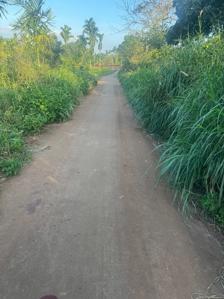 Đất nền Phú Xuân 581m² giá chỉ 399.87 triệu - Cơ hội đầu tư tuyệt vời!