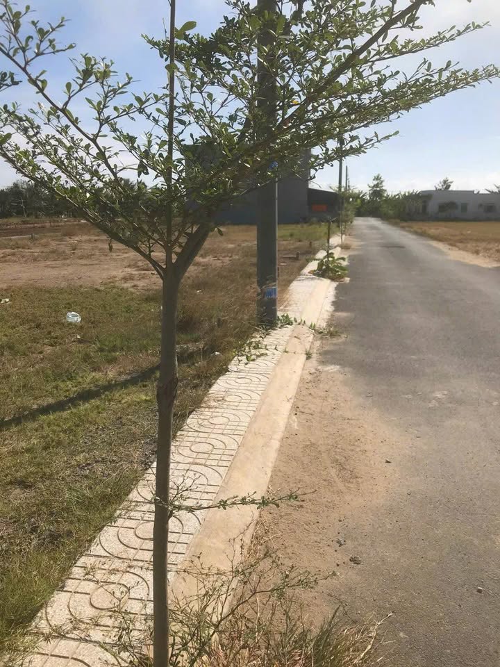 Đất nền 100m² huyện Cần Đước, giá 970 triệu - Sổ hồng chính chủ