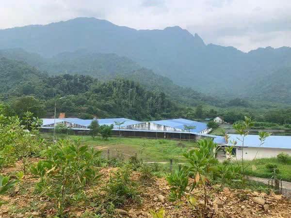 Đất Farm 4000m² tại Xã Cát Nê, Huyện Đại Từ - Giá tốt, cơ hội đầu tư!