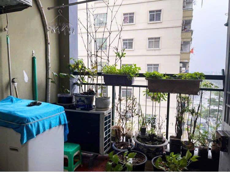 Căn hộ 3 phòng ngủ Cổ Nhuế 1 100m² giá 13 triệu - Full nội thất sang trọng!