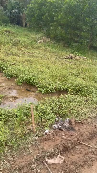 Đất nền Xã Sơn Lĩnh, Huyện Hương Sơn, 440m² - Giá thỏa thuận hấp dẫn!