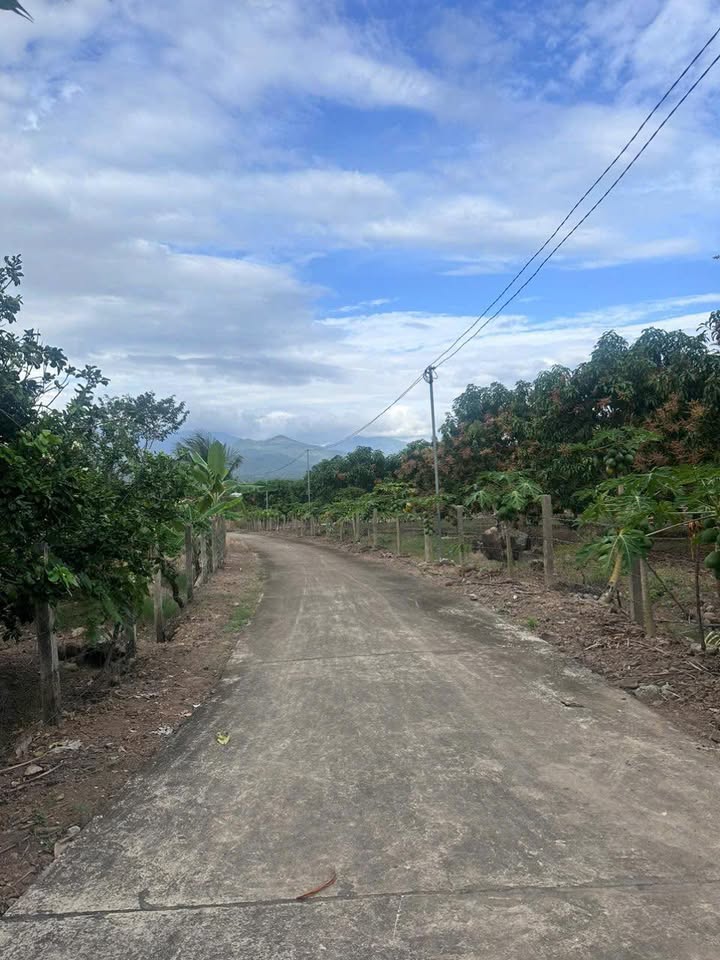 Đất vườn Diên Thọ - Diên Khánh 17.741m² giá 9 tỷ - Đầu tư sinh lời ngay!