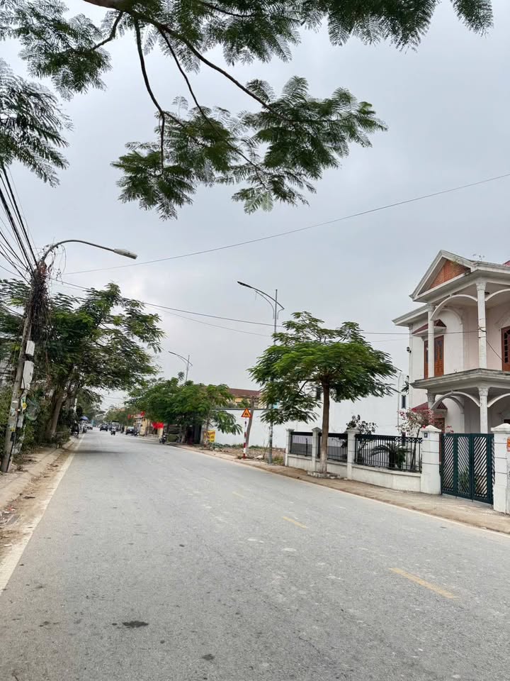 Đất mặt đường Bạch Mai, An Dương 85m² giá 4 tỷ - Kinh doanh mọi mặt hàng!