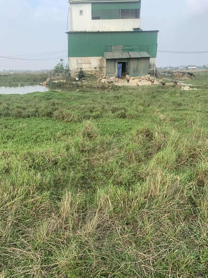 Đất nền xã Sơn Lộc, Huyện Can Lộc, 200m² giá 15 tỷ - Cơ hội đầu tư hấp dẫn!