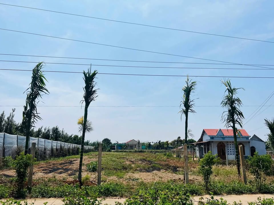 Đất nền khu Trà Sữa Hoa Kai, Đức Trọng 360m² giá 4.2 tỷ - Cơ hội đầu tư tuyệt vời!