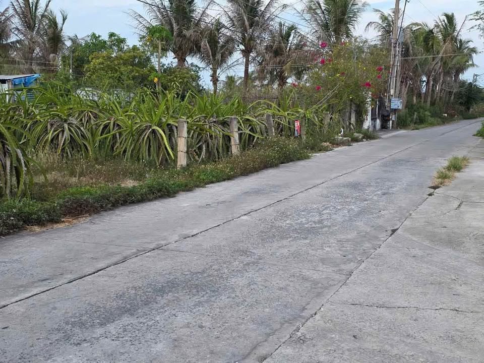 Đất nền khu dân cư Văn Hóa, Phan Thiết 1000m² giá 1 tỷ - Đường trục chính, pháp lý rõ ràng!