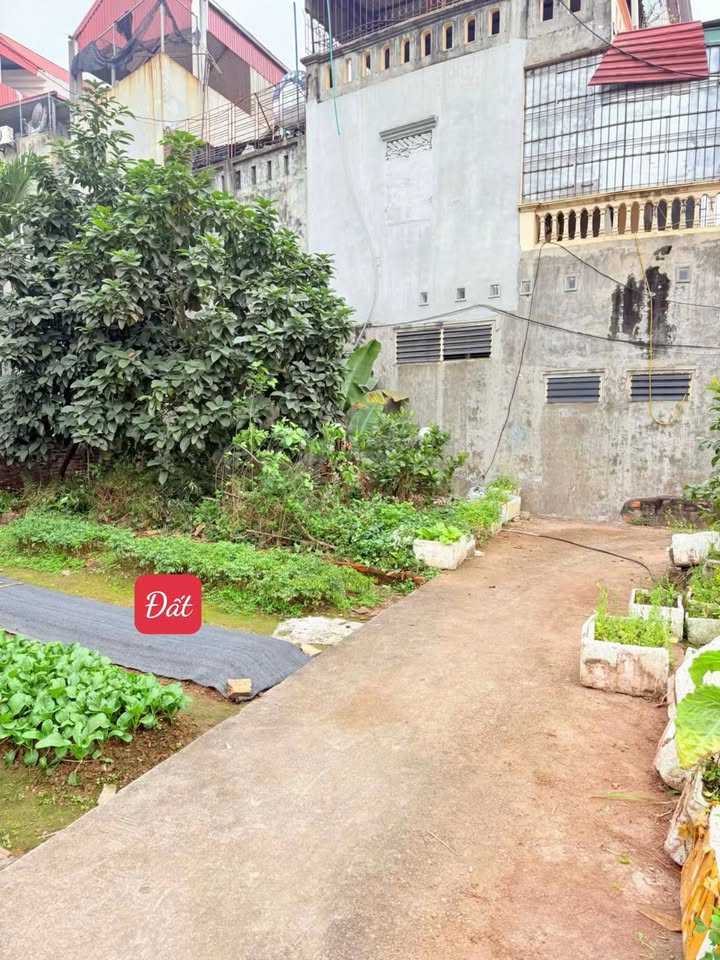 Đất nền Thị Trấn Phúc Thọ 44.5m² giá chỉ 1.5 tỷ - Cơ hội đầu tư tiềm năng!