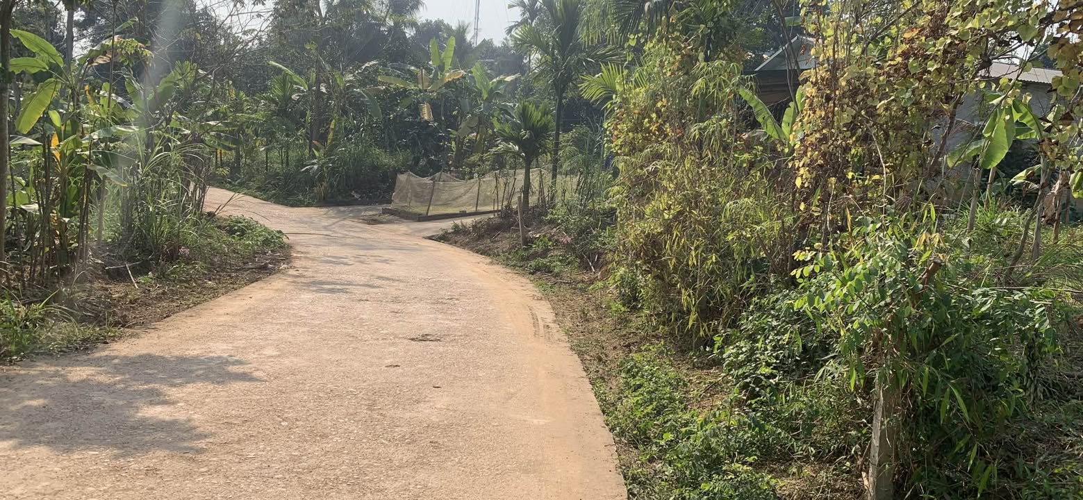 Đất vàng Phường An Tường 168m² giá 1.05 tỷ - Đầu tư sinh lời ngay!