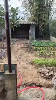 Nhà kiệt Nguyễn Thiện Thuật Đông Lương 210m² giá 1 tỷ - Đón Tết an khang!