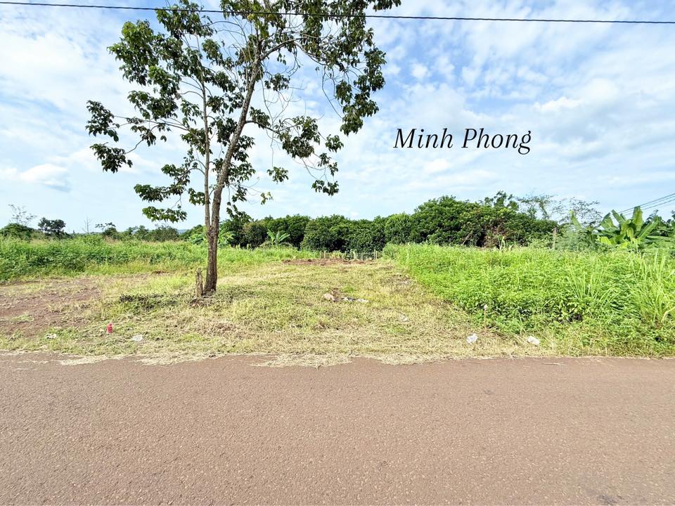 Bán mặt tiền đường Bầu Sen - Phường Xuân Lập, 150m² giá 1.6 tỷ - Đầu tư sinh lời cao!