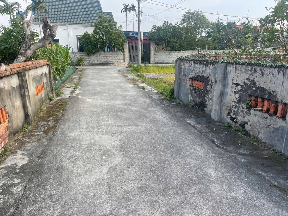 Đất nền Mỹ Lộc, Thái Thụy, Thái Bình 248m² giá 8.x triệu - Cơ hội đầu tư tuyệt vời!