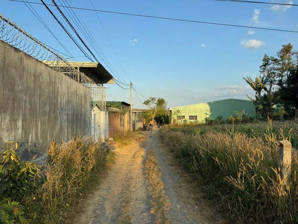 Bán đất hẻm Phan Đình Phùng, TP. Kon Tum 185m² - Vị trí đắc địa, giá tốt!