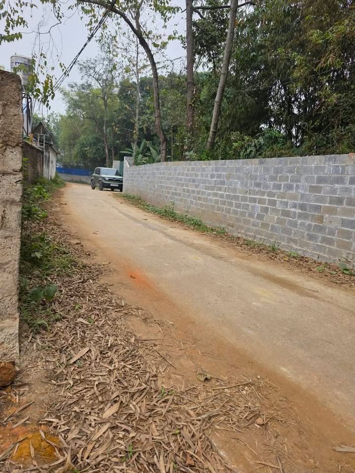 Bán đất Cổ Lũng 200m² giá 400 triệu - Đầu tư sinh lời tốt!