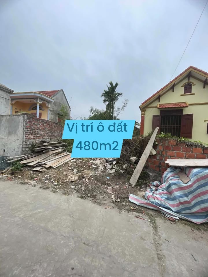 Đất nền Hiệp Hòa Điện Biên 500m² giá chỉ 2 tỷ - Cơ hội đầu tư tuyệt vời!