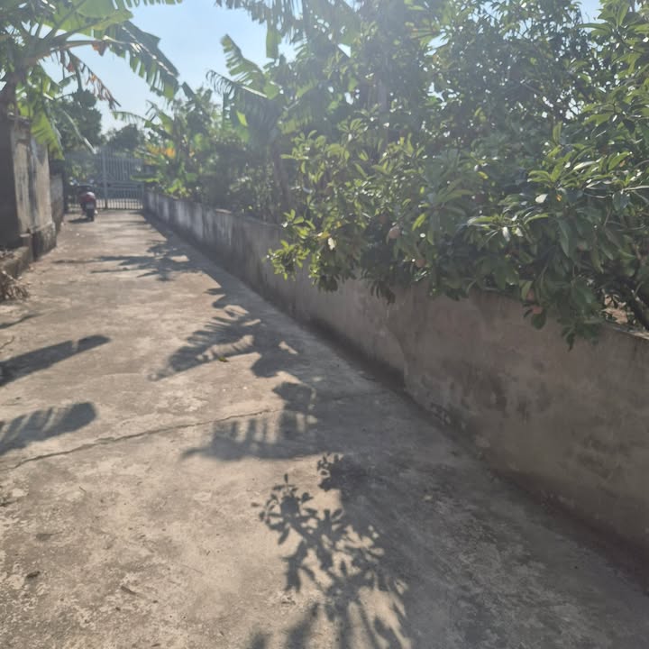 Đất thổ cư Xóm 4 Khánh Hội 312m² giá thỏa thuận - Đường ô tô vào tận nơi!