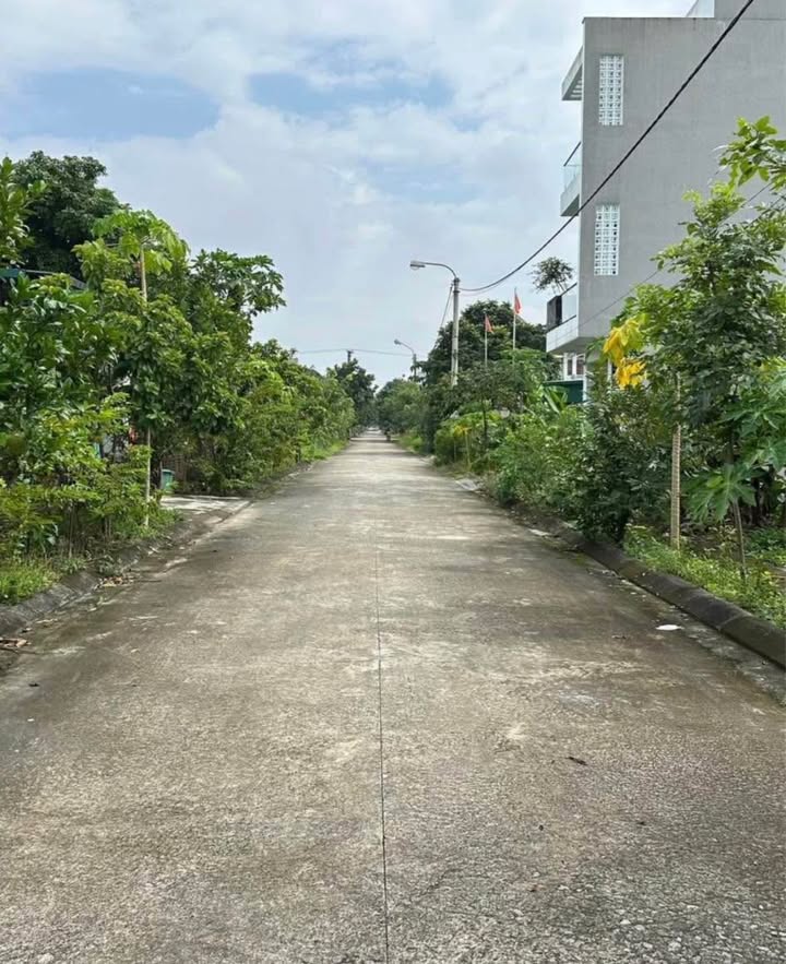 Đất nền 120.3m² tại ngõ 48 Nguyễn Hữu An, Ninh Tiến - Đầu tư sinh lời tuyệt vời!