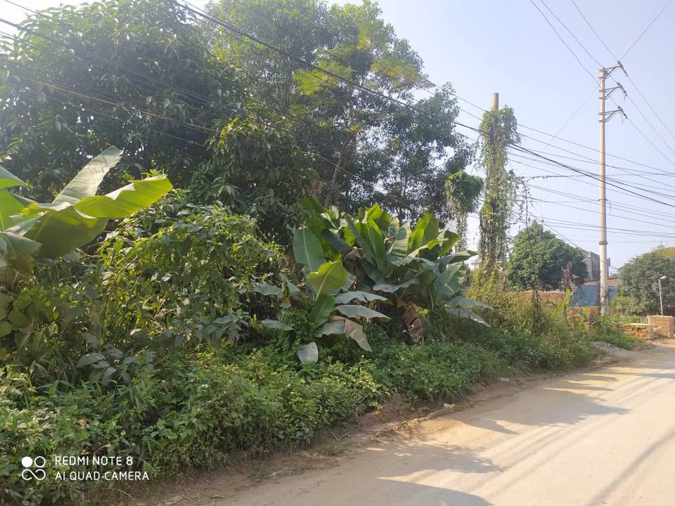 Đất nền 100m² tại Phường Nông Tiến, Tuyên Quang chỉ 1.2 tỷ - Cơ hội đầu tư hấp dẫn!