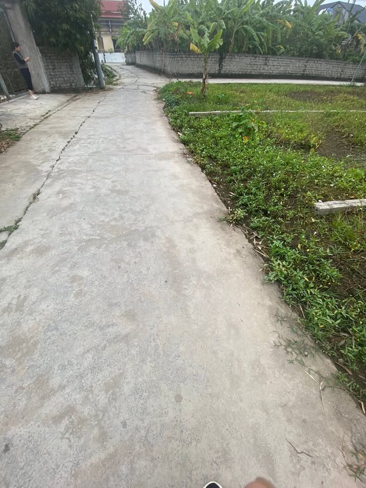 Đất nền thôn Mỹ Ân, Tứ Kỳ, 100m² giá 900 triệu - Đầu tư sinh lời ngay!