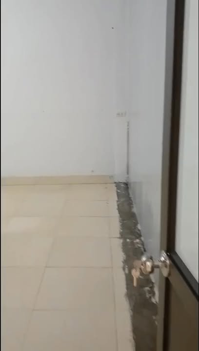 Đất nền chính chủ tại Đường 392, Ninh Giang 100m² giá 3 tỷ - Cơ hội đầu tư sinh lời!